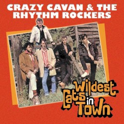 Wildest Cats in Town