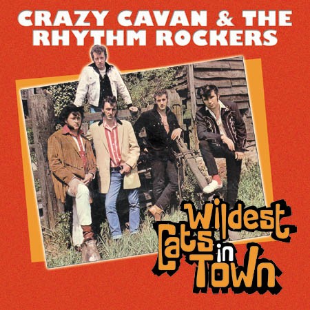 Wildest Cats in Town