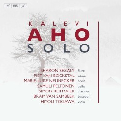 Solo, Vol. 1