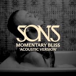 Momentary Bliss (Acoustic Version)