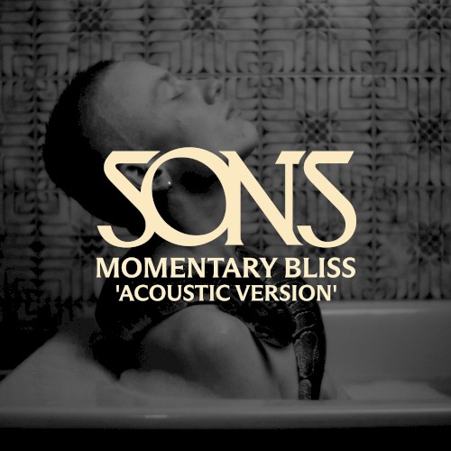 Momentary Bliss (Acoustic Version)