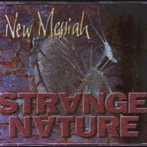 New Messiah (acoustic version)