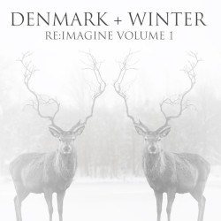 Re:Imagine, Vol. 1
