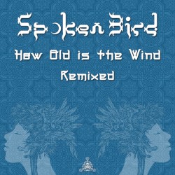 How Old Is the Wind: Remixed