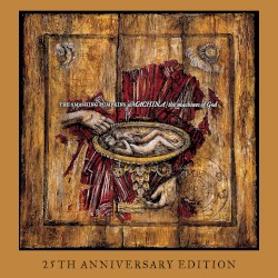 Machina / The Machines of God (25th Anniversary Edition)