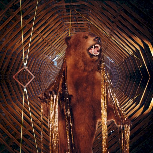 It Still Moves (Deluxe Reissue)