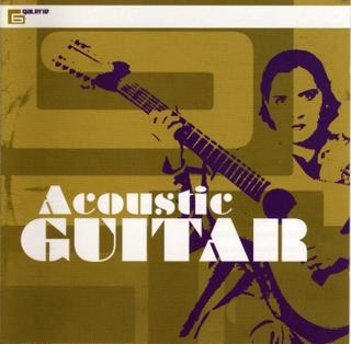 Acoustic Guitar