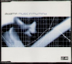 Music in My Mind (DJ Krust remix)