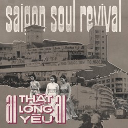 Ai thật lòng yêu ai (Nickodemus remix)