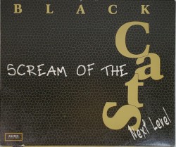 فریاد گربه ها = Scream Of The Black Cats: Next Level