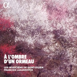 À l’ombre d’un ormeau