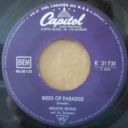 Birds of Paradise / Una casa Portuguesa