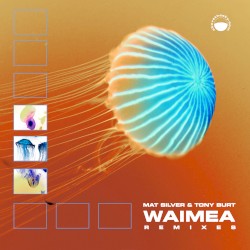 Waimea - Remixes