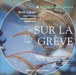 Sur la grève