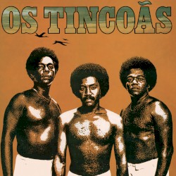 Os Tincoãs (1977)