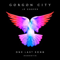 One Last Song (acoustic)