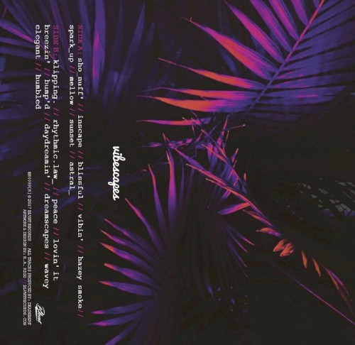 vibescapes (reissue)