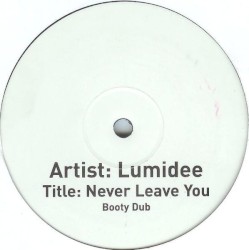 Never Leave You (Booty Dub)