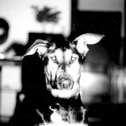 Mama Didn't Raise No Punk, I Made Myself One E.P. (2006 Version)