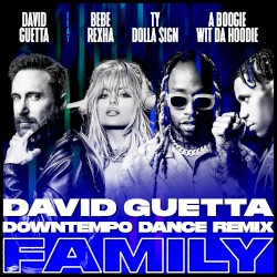 Family (David Guetta downtempo dance remix)