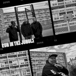 Run In The Jungle (Album Sampler 2)