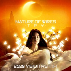 Try (2020 Vision remix)