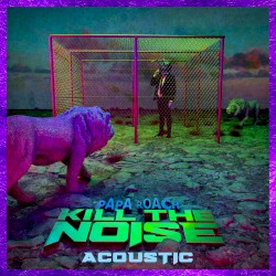Kill the Noise (acoustic)