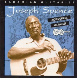Bahamian Guitarist