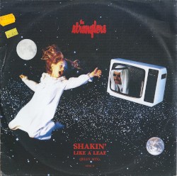 Shakin’ Like a Leaf (Jelly mix)