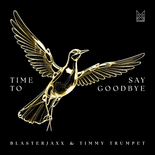 Time to Say Goodbye (extended mix)