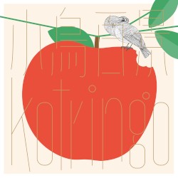 小鳥観察 Kotringo Best