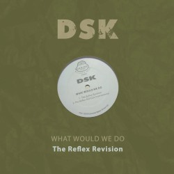 What Would We Do - the Reflex Revision