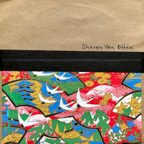 Sharon Van Etten