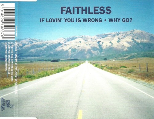 If Lovin’ You Is Wrong / Why Go?