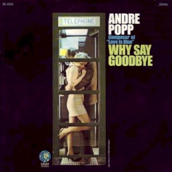 Why Say Goodbye