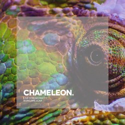 Chameleon (Live Stream Part 1)