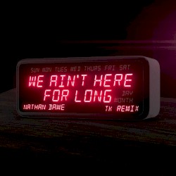 We Ain't Here For Long (TK remix)