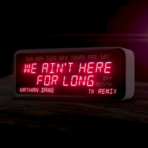 We Ain't Here For Long (TK remix)