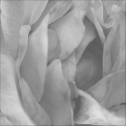 Yocta To Yotta Ep