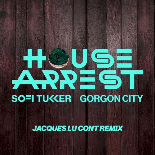 House Arrest (Jacques Lu Cont remix)