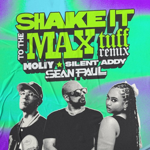 Shake It To The Max (Tuff Remix)