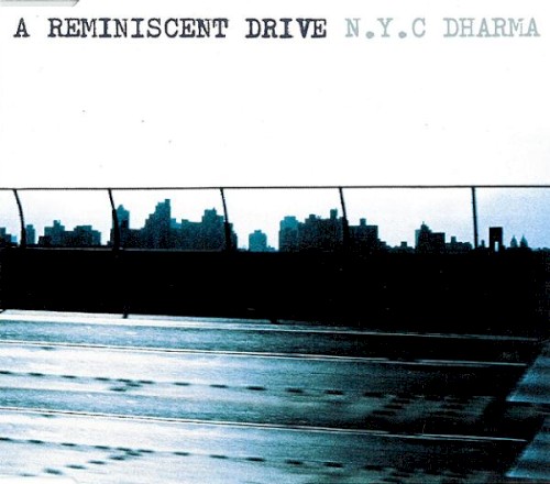 N.Y.C. Dharma Revisited