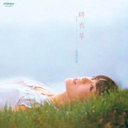 緋衣草+5