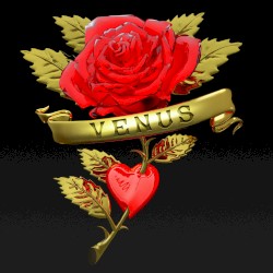 Venus (Boys Noize rework, instrumental)