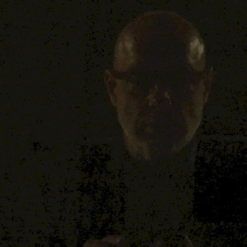 Reflection (excerpt)