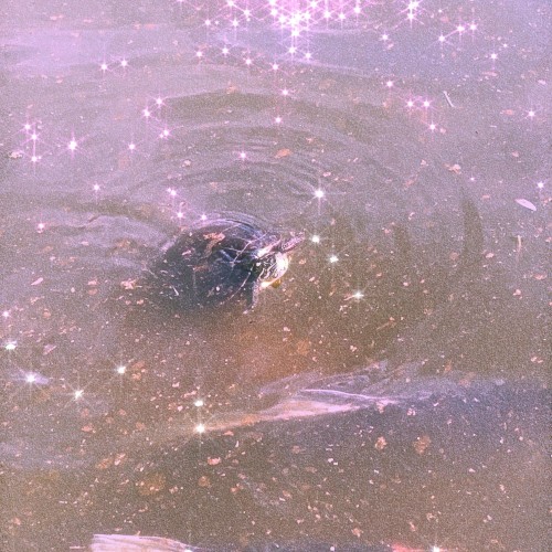 Sweetly (slowed & reverb)