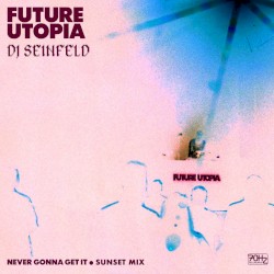 Never Gonna Get It (Sunset mix)