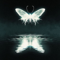 Reflections (deluxe)