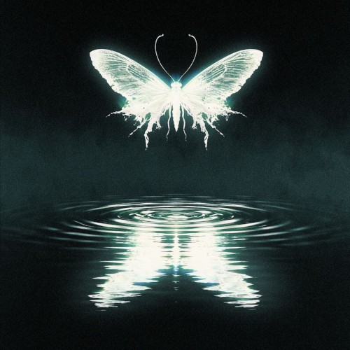Reflections (deluxe)