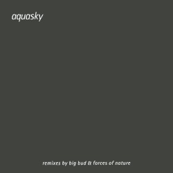 Tranquility (Big Bud / Forces of Nature Remixes)